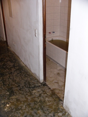 Aus den Leitungen der Wohnung hat es das Wasser hochgedrückt. Da niemand in der Wohnung war,
hatte die Überschwemmung erhebliche Kosten zur Folge.